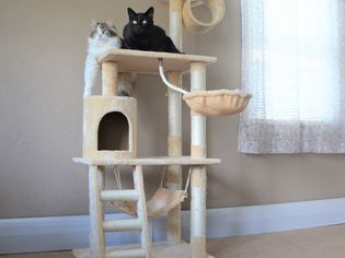 Go Pet Club 62-Inch Cat Tree