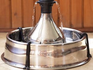 Drinkwell 360 Multi-Pet Stainless Steel Fountain
