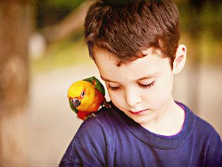 Boy with colorful parrot
