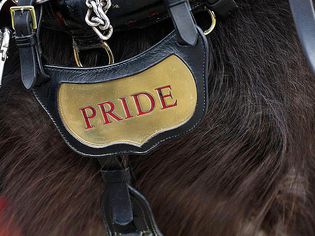 ARDINGLY, UNITED KINGDOM - APRIL 01: Detail of a horse's name on it's saddle before the horse parade on April 1, 2013 in Ardingly, United Kingdom.