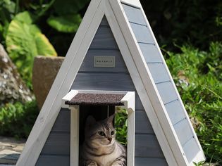 Petsfit Outdoor Cat House