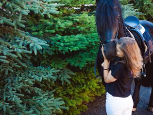 Young Woman Kissing Horse While Standing By Trees